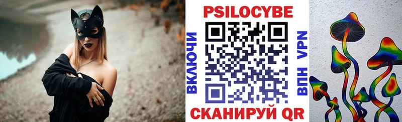 Псилоцибиновые грибы мицелий где можно купить наркотик гидра ссылка Межгорье